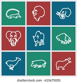 Zoo icons set. set of 9 zoo outline icons such as lion, hippopotamus, hedgehog, buffalo, antelope