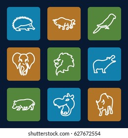 Zoo icons set. set of 9 zoo outline icons such as hippopotamus, lion, hedgehog, buffalo, parrot