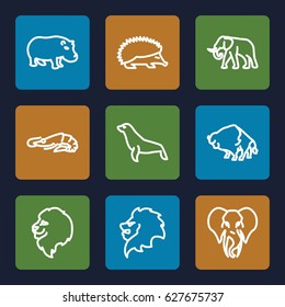 Zoo icons set. set of 9 zoo outline icons such as lion, alligator, hedgehog, buffalo, elephant, hippopotamus