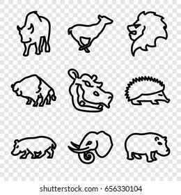 Zoo icons set. set of 9 zoo outline icons such as lion, hedgehog, buffalo, antelope, hippopotamus