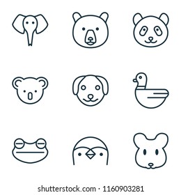 Zoo icons set with bear, mouse, frog and other puppy elements. Isolated vector illustration zoo icons.