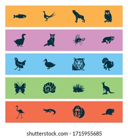 Zoo icons set with beaver, raccoon, turkey and other poultry elements. Isolated vector illustration zoo icons.