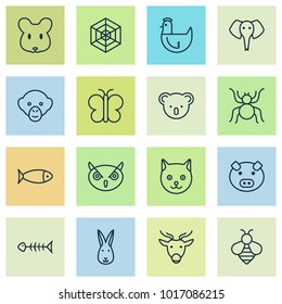 Zoo icons set with bee, cat, pig and other bumblebee elements. Isolated vector illustration zoo icons.