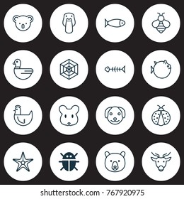Zoo icons set with bumblebee, goose, hen and other goose elements. Isolated vector illustration zoo icons.
