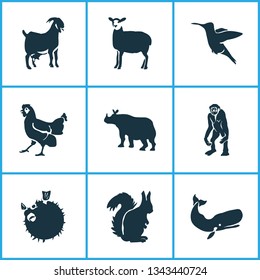 Zoo icons set with cachalote, hummingbird, chicken and other colibri elements. Isolated vector illustration zoo icons.