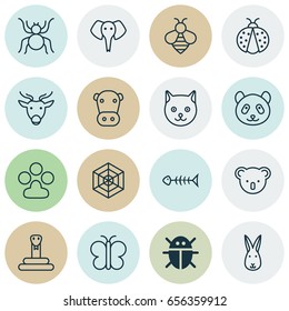 Zoo Icons Set. Collection Of Bear, Moose, Spider And Other Elements. Also Includes Symbols Such As Serpent, Web, Panda.