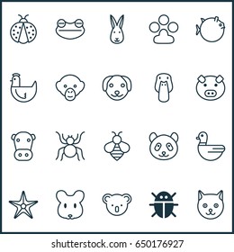 Zoo Icons Set. Collection Of Beetle, Bumblebee, Hen And Other Elements. Also Includes Symbols Such As Honey, starfish, Piglet.