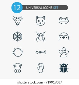Zoo Icons Set. Collection Of Beetle, Claw Print, Spider And Other Elements. Also Includes Symbols Such As Goose, Fish, Cow.