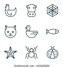 Zoo Icons Set. Collection Of Cobweb, Starfish, Ladybird And Other Elements. Also Includes Symbols Such As Poultry, Starfish, Mallard.