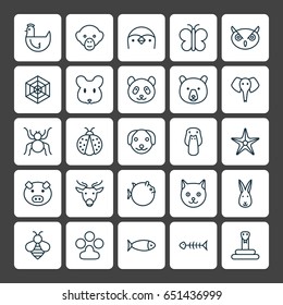 Zoo Icons Set. Collection Of Fish, Kitten, Claw Print And Other Elements. Also Includes Symbols Such As Pussy, Butterfly, Hare.