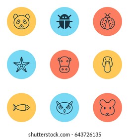 Zoo Icons Set. Collection Of Kine, Starfish, Duck And Other Elements. Also Includes Symbols Such As Bug, Insect, Panda. Zoo Icons Set. Collection Of Kine, Starfish, Duck And Other Elements. Also Includes Symbols Such As Bug, Insect, Panda.