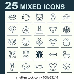Zoo Icons Set. Collection Of Kine, Cobweb, Kitten And Other Elements. Also Includes Symbols Such As Moth, Reindeer, Bunny.