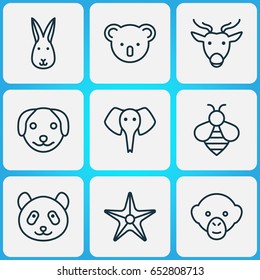 Zoo Icons Set. Collection Of Moose, Starfish, Puppy And Other Elements. Also Includes Symbols Such As Star, Bunny, Marsupial.