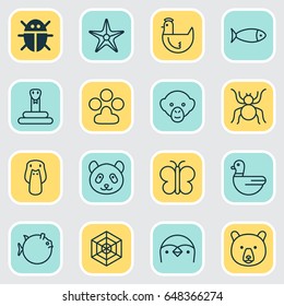 Zoo Icons Set. Collection Of Moth, Serpent, Starfish And Other Elements. Also Includes Symbols Such As Paw, Print, Panda.