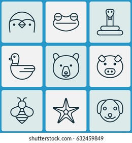 Zoo Icons Set. Collection Of Piglet, Toad, Puppy And Other Elements. Also Includes Symbols Such As Star, Piglet, Panda.