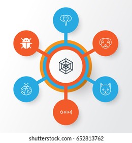 Zoo Icons Set. Collection Of Seafood Skeleton, Beetle, Puppy And Other Elements. Also Includes Symbols Such As Dog, Beetle, Pussy.