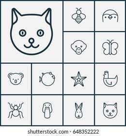 Zoo Icons Set. Collection Of Spider, Kitten, Starfish And Other Elements. Also Includes Symbols Such As Fish, Spider, Butterfly.