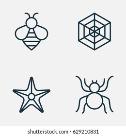 Zoo Icons Set. Collection Of Starfish, Bumblebee, Cobweb And Other Elements. Also Includes Symbols Such As Cobweb, Sea, Web.