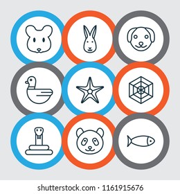 Zoo icons set with dog, seafood, mouse and other fish elements. Isolated vector illustration zoo icons.