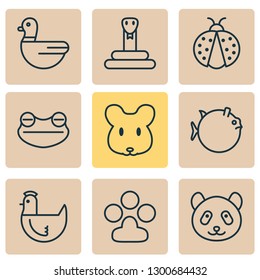 Zoo icons set with duck, ladybug, panda serpent elements. Isolated vector illustration zoo icons.