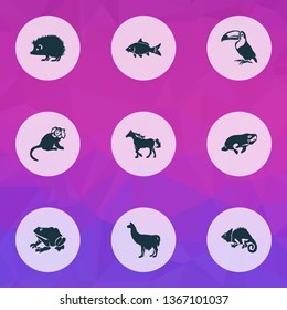 Zoo icons set with hedgehog, toucan, carp and other haddock elements. Isolated vector illustration zoo icons.