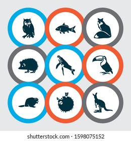 Zoo icons set with kangaroo, hedgehog, blowfish and other tropical bird elements. Isolated vector illustration zoo icons.