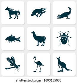 Zoo icons set with llama, dragonfly, horse and other haddock elements. Isolated vector illustration zoo icons.