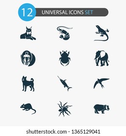 Zoo icons set with lynx, spider, hippo and other gecko elements. Isolated vector illustration zoo icons.