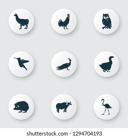Zoo icons set with ox, owl, hedgehog and other alpaca elements. Isolated vector illustration zoo icons.