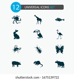 Zoo icons set with pig, mouse, thermit and other rhinoceros elements. Isolated vector illustration zoo icons.