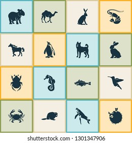 Zoo icons set with rabbit, capybara, whale and other dromedary elements. Isolated vector illustration zoo icons.