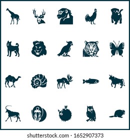 Zoo icons set with rooster, owl, beaver and other scallop elements. Isolated vector illustration zoo icons.