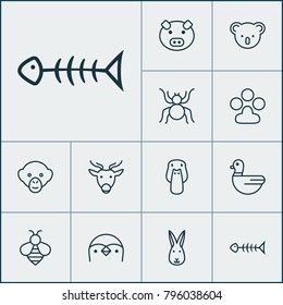 Zoo icons set with seafood skeleton, baboon, goose and other claw print elements. Isolated vector illustration zoo icons.