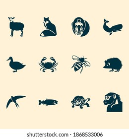 Zoosymbole mit Schwimmern, Schildkröten, Cachalote und anderen Wal-Elementen. Isolierte Vektorgrafik-Zoosymbole.