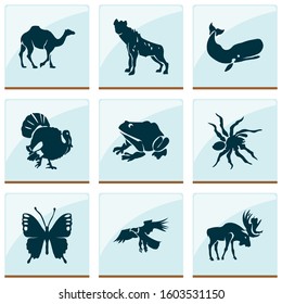 Zoo icons set with turkey, hyena, moose and other whale elements. Isolated vector illustration zoo icons.