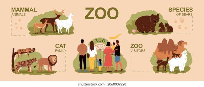 Zoo infographic set with cat family and visitors flat vector illustration