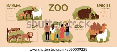 Zoo infographic set with cat family and visitors flat vector illustration