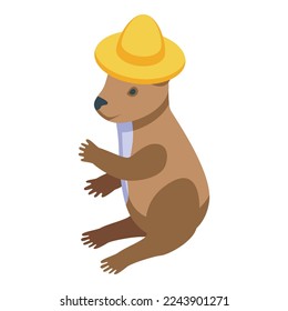 Zoo koala icon isometric vector. Cute bear. Australia art