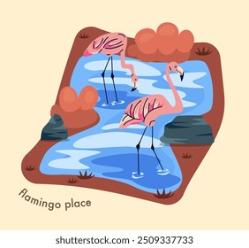 Zoo map. Beautiful pink flamingo at water. Exotic birds. Wildlife Park or menagerie with African Animals. Savanna Safari. Cartoon vector illustration isolated on beige background