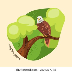 Mapa del zoológico. Águila se sienta en la rama. Depredador de pájaros emplumados en el árbol. Parque de vida silvestre o zoológico con animales africanos. Fauna silvestre. Ilustración vectorial de dibujos animados aislados sobre fondo beige