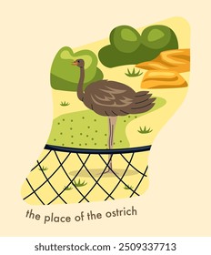 Zoo map. Ostrich bird at lawn. Wildlife Park or menagerie with African Animals. Savanna Safari. Wild feathered bird. Cartoon vector illustration isolated on beige background