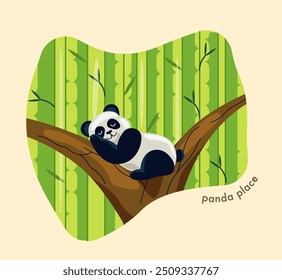 Zoo map. Panda sleep at branch. Adorable Asian bear in natural habitat. Wildlife Park or menagerie with African Animals. Cartoon vector illustration isolated on beige background