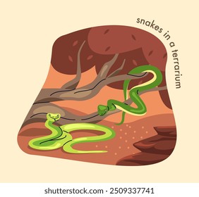 Mapa do zoológico. Cobras tropicais e exóticas em galhos de árvores. Parque da Vida Selvagem ou coleção de animais africanos. Moradores da selva. Safári da Savana. Ilustração de vetor de desenhos animados isolada no fundo bege