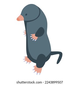 Zoo mole icon isometric vector. Cute animal. Ground character