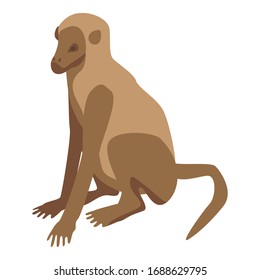Zoo monkey icon. Isometric of zoo monkey vector icon for web design isolated on white background