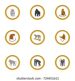 Zoo monkey icons set. Cartoon style set of 9 zoo monkey vector icons for web design