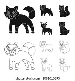 Zoo, nature, reserve and other web icon in black,outline style. Artiodactyl, nature, ecology, icons in set collection.