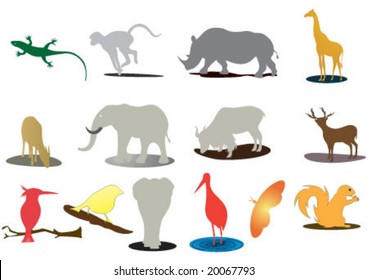 Zoo on net by Africa