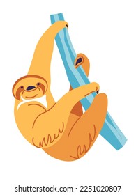 zoo park animal, isolated sloth with smiling muzzle hanging on branch of tree. Tropical habitat of creatures, mammals with long arms and sharp hooked claws. Vector in flat style illustration