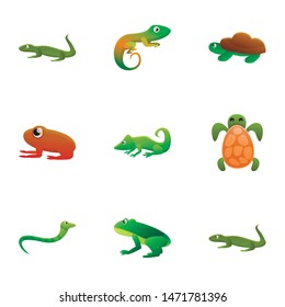 Zoo reptile icon set. Cartoon set of 9 zoo reptile vector icons for web design isolated on white background